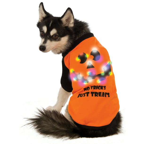 Coomour Halloween Dog Shirt Pet Wizard Costume Cat Soft Clothes for Dogs Cats Soft Hoodies with Glasses Medium,Blue
